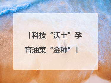 科技“沃土”孕育油菜“金种”