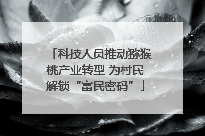 科技人员推动猕猴桃产业转型 为村民解锁“富民密码”