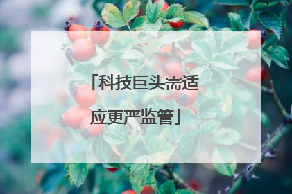 科技巨头需适应更严监管