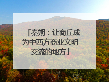 秦朔：让商丘成为中西方商业文明交流的地方