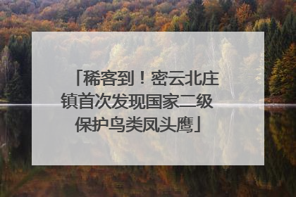 稀客到！密云北庄镇首次发现国家二级保护鸟类凤头鹰