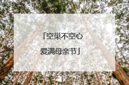 空巢不空心 爱满母亲节