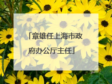 章雄任上海市政府办公厅主任