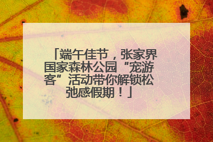 端午佳节，张家界国家森林公园“宠游客”活动带你解锁松弛感假期！