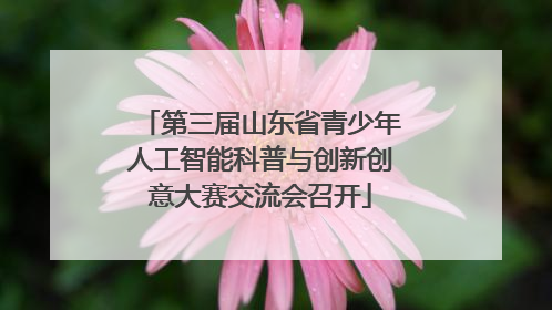 第三届山东省青少年人工智能科普与创新创意大赛交流会召开