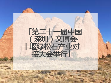 第二十一届中国（深圳）文博会·十堰绿松石产业对接大会举行