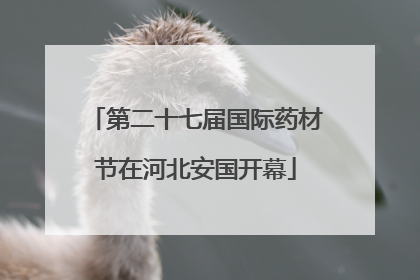 第二十七届国际药材节在河北安国开幕