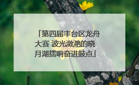 第四届丰台区龙舟大赛 波光潋滟的晓月湖擂响奋进鼓点
