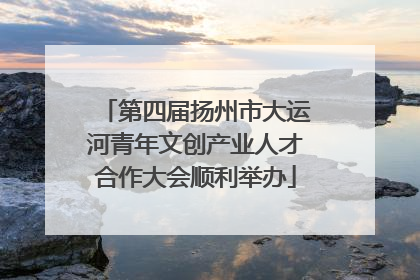 第四届扬州市大运河青年文创产业人才合作大会顺利举办