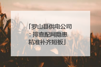 罗山县供电公司：排查配网隐患 精准补齐短板