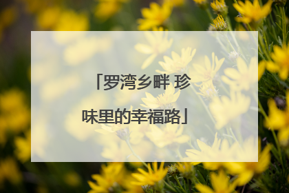 罗湾乡畔 珍味里的幸福路
