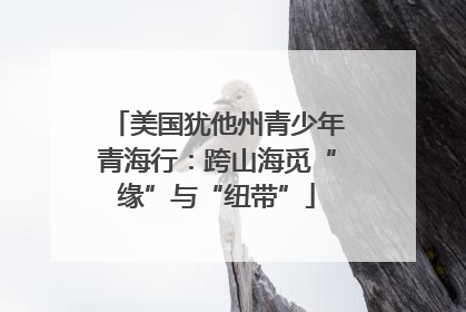 美国犹他州青少年青海行：跨山海觅“缘”与“纽带”