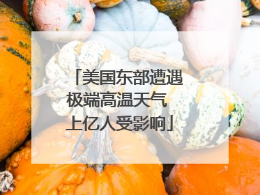 美国东部遭遇极端高温天气 上亿人受影响