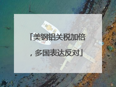 美钢铝关税加倍，多国表达反对