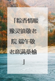粽香情暖豫灵镇敬老院 端午敬老意满桑榆