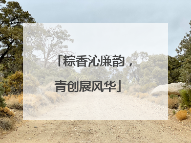 粽香沁廉韵，青创展风华