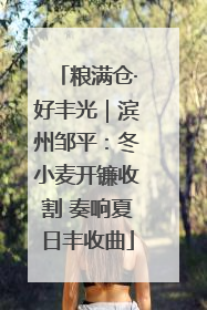 粮满仓·好丰光｜滨州邹平：冬小麦开镰收割 奏响夏日丰收曲
