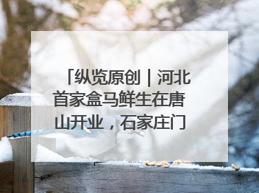 纵览原创｜河北首家盒马鲜生在唐山开业，石家庄门店预计8月开业