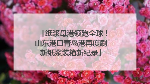 纸浆母港领跑全球！山东港口青岛港再度刷新纸浆装箱新纪录