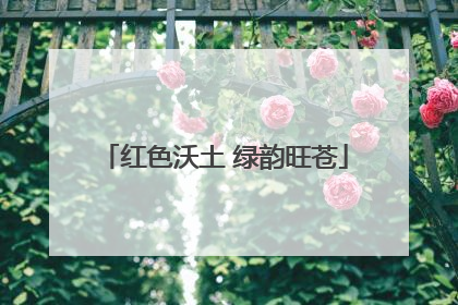 红色沃土 绿韵旺苍