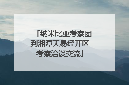 纳米比亚考察团到湘潭天易经开区考察洽谈交流
