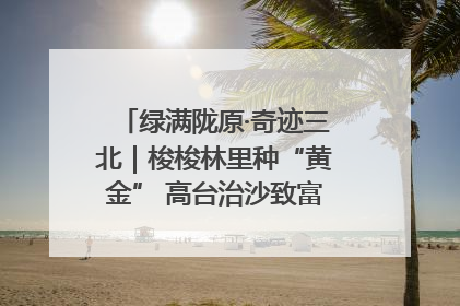 绿满陇原·奇迹三北｜梭梭林里种“黄金” 高台治沙致富很“从容”