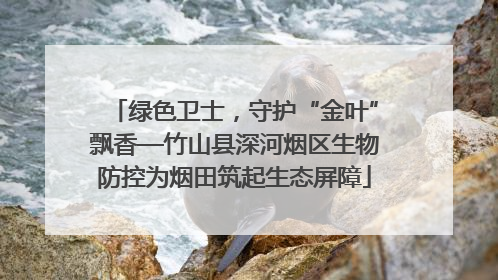 绿色卫士，守护“金叶”飘香—竹山县深河烟区生物防控为烟田筑起生态屏障