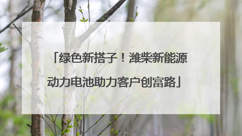 绿色新搭子！潍柴新能源动力电池助力客户创富路