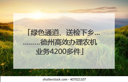 绿色通道、送检下乡…………德州高效办理农机业务4200多件