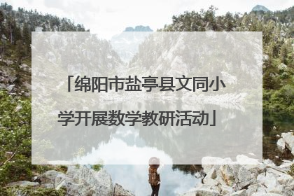 绵阳市盐亭县文同小学开展数学教研活动