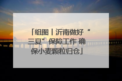组图丨沂南做好“三夏”保障工作 确保小麦颗粒归仓