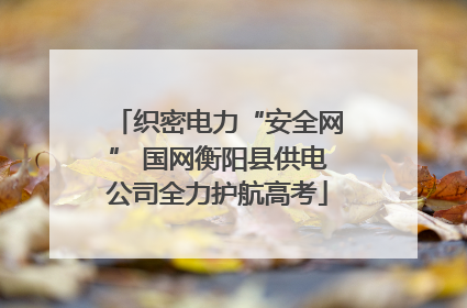 织密电力“安全网” 国网衡阳县供电公司全力护航高考