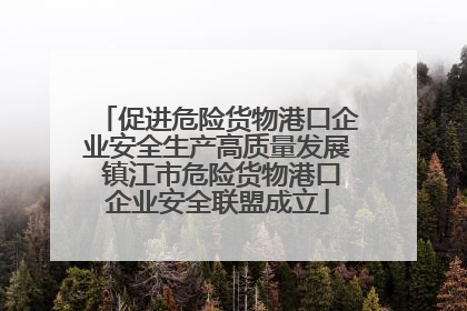 促进危险货物港口企业安全生产高质量发展 镇江市危险货物港口企业安全联盟成立