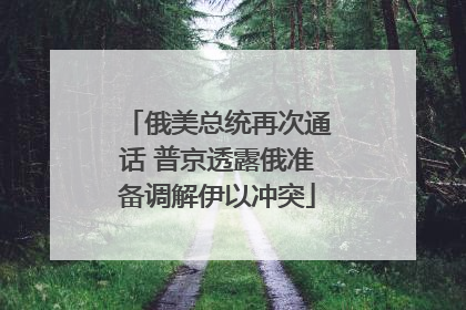 俄美总统再次通话 普京透露俄准备调解伊以冲突