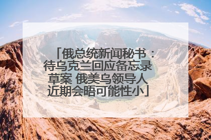 俄总统新闻秘书：待乌克兰回应备忘录草案 俄美乌领导人近期会晤可能性小