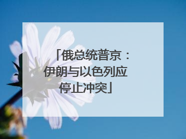 俄总统普京：伊朗与以色列应停止冲突