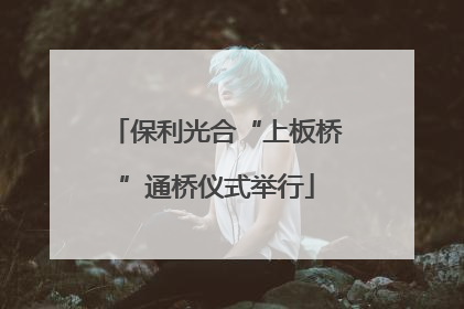 保利光合“上板桥”通桥仪式举行