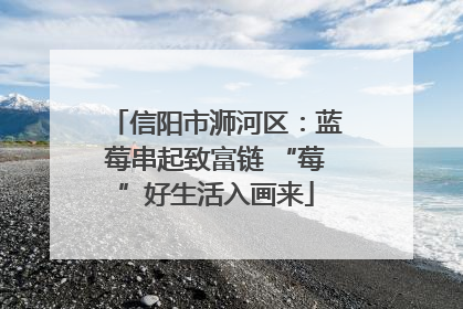 信阳市浉河区：蓝莓串起致富链 “莓”好生活入画来