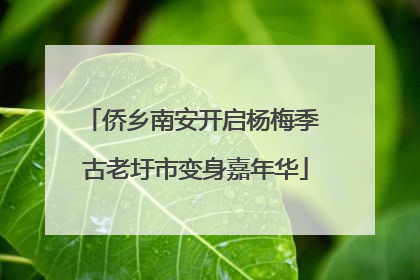 侨乡南安开启杨梅季 古老圩市变身嘉年华