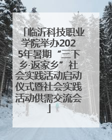 临沂科技职业学院举办2025年暑期“三下乡·返家乡”社会实践活动启动仪式暨社会实践活动供需交流会