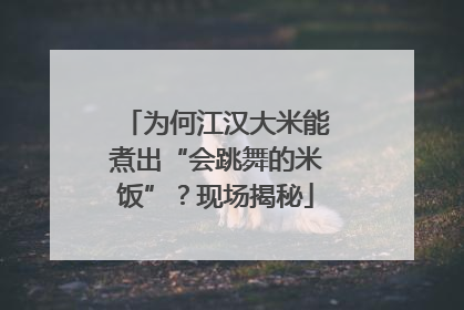 为何江汉大米能煮出“会跳舞的米饭”？现场揭秘