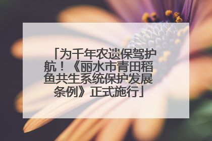 为千年农遗保驾护航!《丽水市青田稻鱼共生系统保护发展条例》正式施行