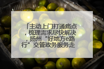 主动上门打通痛点，梳理需求尽快解决，扬州“好地方e路行”交管政务服务走进规上企业