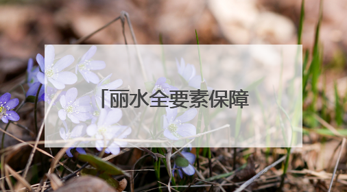 丽水全要素保障推进高新技术产业发展 高“含新量”项目加速落地