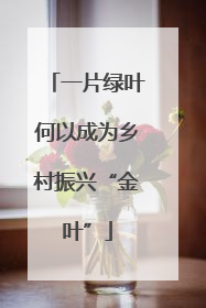 一片绿叶何以成为乡村振兴“金叶”