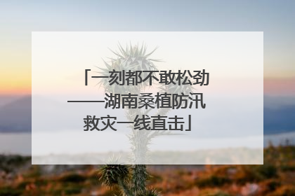 一刻都不敢松劲——湖南桑植防汛救灾一线直击