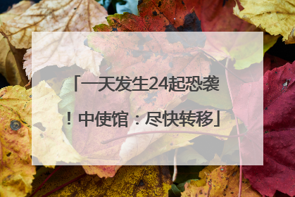 一天发生24起恐袭！中使馆：尽快转移