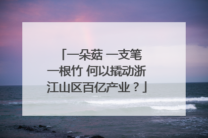 一朵菇 一支笔 一根竹 何以撬动浙江山区百亿产业？
