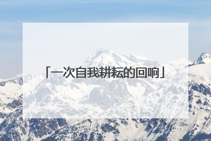 一次自我耕耘的回响