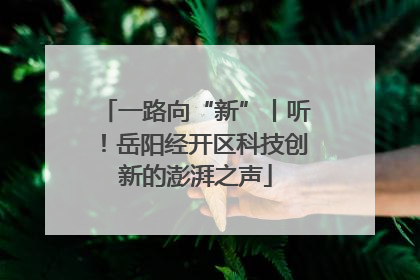 一路向“新”丨听！岳阳经开区科技创新的澎湃之声